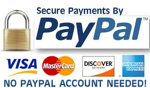 paypal button for first million